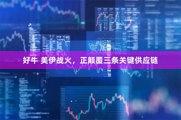好牛 美伊战火，正颠覆三条关键供应链