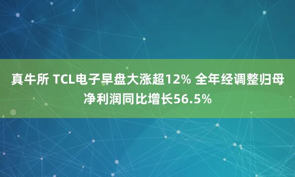真牛所 TCL电子早盘大涨超12% 全年经调整归母净利润同比增长56.5%