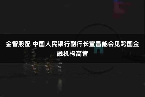 金智股配 中国人民银行副行长宣昌能会见跨国金融机构高管