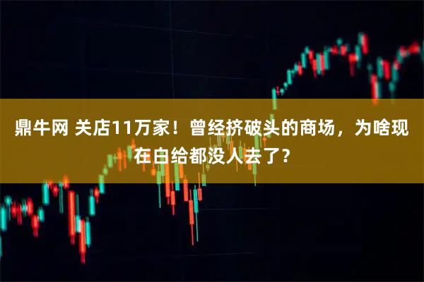 鼎牛网 关店11万家！曾经挤破头的商场，为啥现在白给都没人去了？