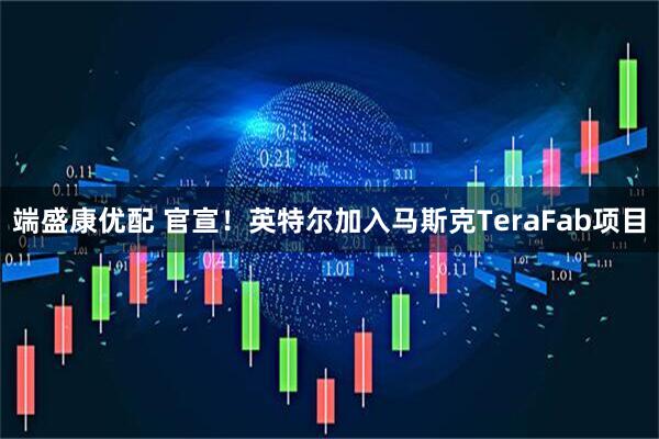 端盛康优配 官宣！英特尔加入马斯克TeraFab项目