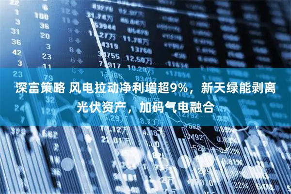 深富策略 风电拉动净利增超9%，新天绿能剥离光伏资产，加码气电融合