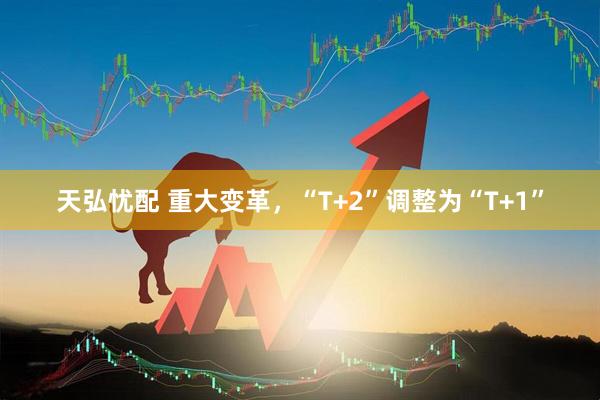 天弘忧配 重大变革，“T+2”调整为“T+1”