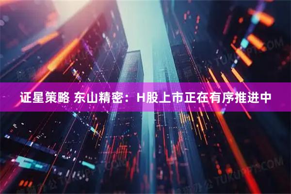 证星策略 东山精密：H股上市正在有序推进中