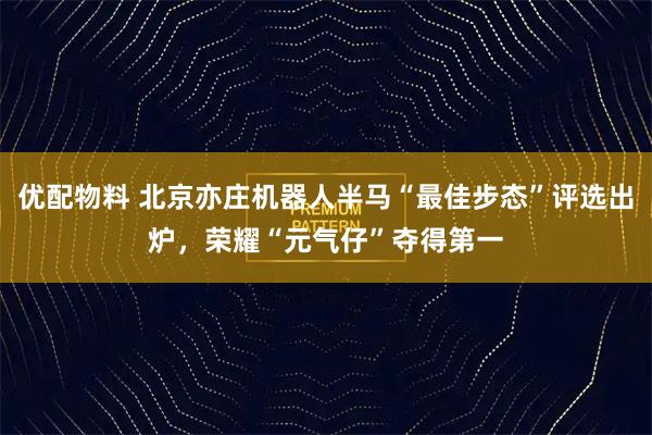 优配物料 北京亦庄机器人半马“最佳步态”评选出炉，荣耀“元气仔”夺得第一