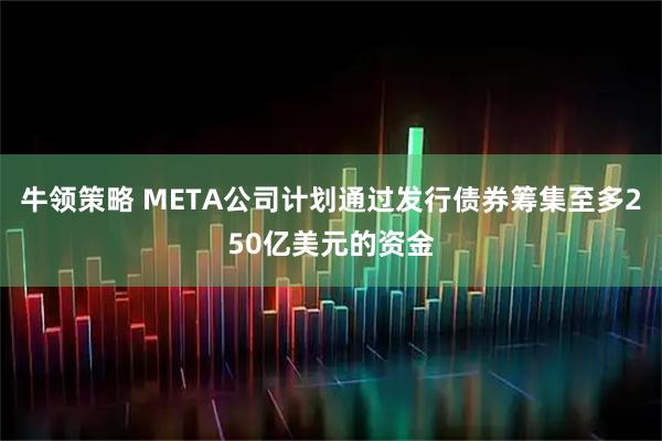 牛领策略 META公司计划通过发行债券筹集至多250亿美元的资金