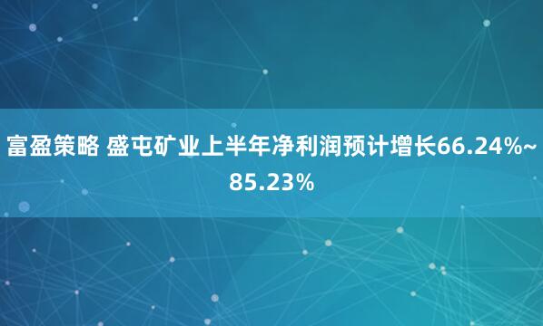 富盈策略 盛屯矿业上半年净利润预计增长66.24%~85.23%