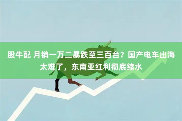 股牛配 月销一万二暴跌至三百台？国产电车出海太难了，东南亚红利彻底缩水