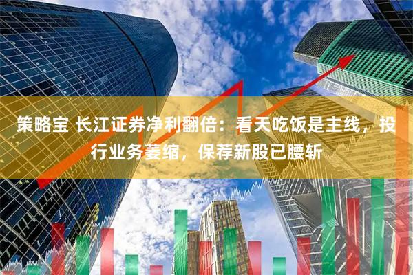 策略宝 长江证券净利翻倍：看天吃饭是主线，投行业务萎缩，保荐新股已腰斩
